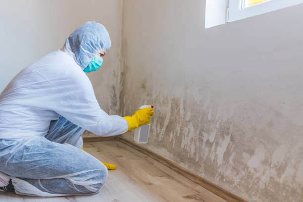 Licensed Mold Remediation service in Neshanic Station, NJ - 24 Hour Mold Removal