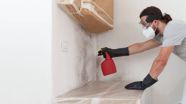 Professional Mold Remediation technician working in Neshanic Station, NJ